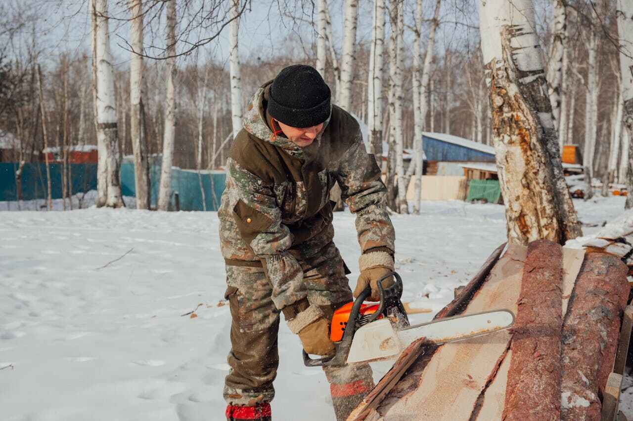 Best Tree Trimming Near Me  in Highland Beach, FL